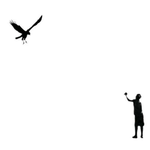 Soltador de pássaros | Fly a bird