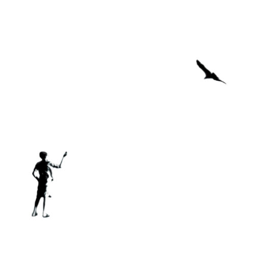 Soltador de pássaros | Fly a bird