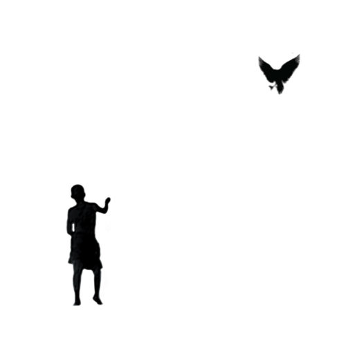 Soltador de pássaros | Fly a bird