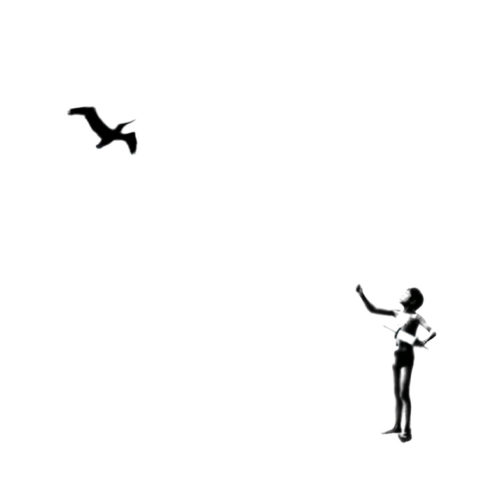 Soltador de pássaros | Fly a bird