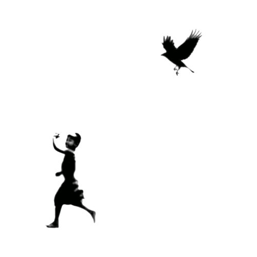 Soltador de pássaros | Fly a bird