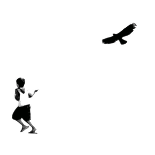 Soltador de pássaros | Fly a bird