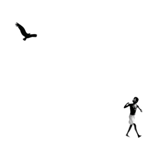 Soltador de pássaros | Fly a bird