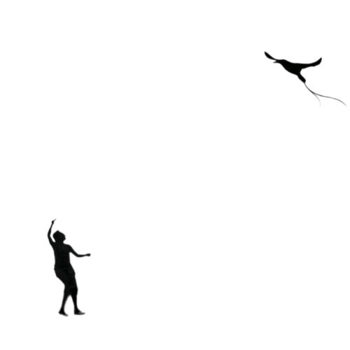 Soltador de pássaros | Fly a bird