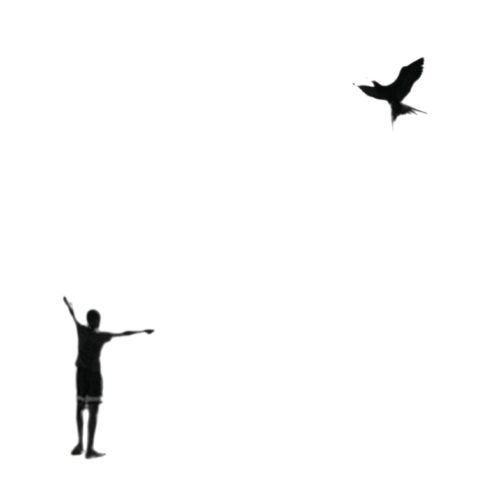 Soltador de pássaros | Fly a bird